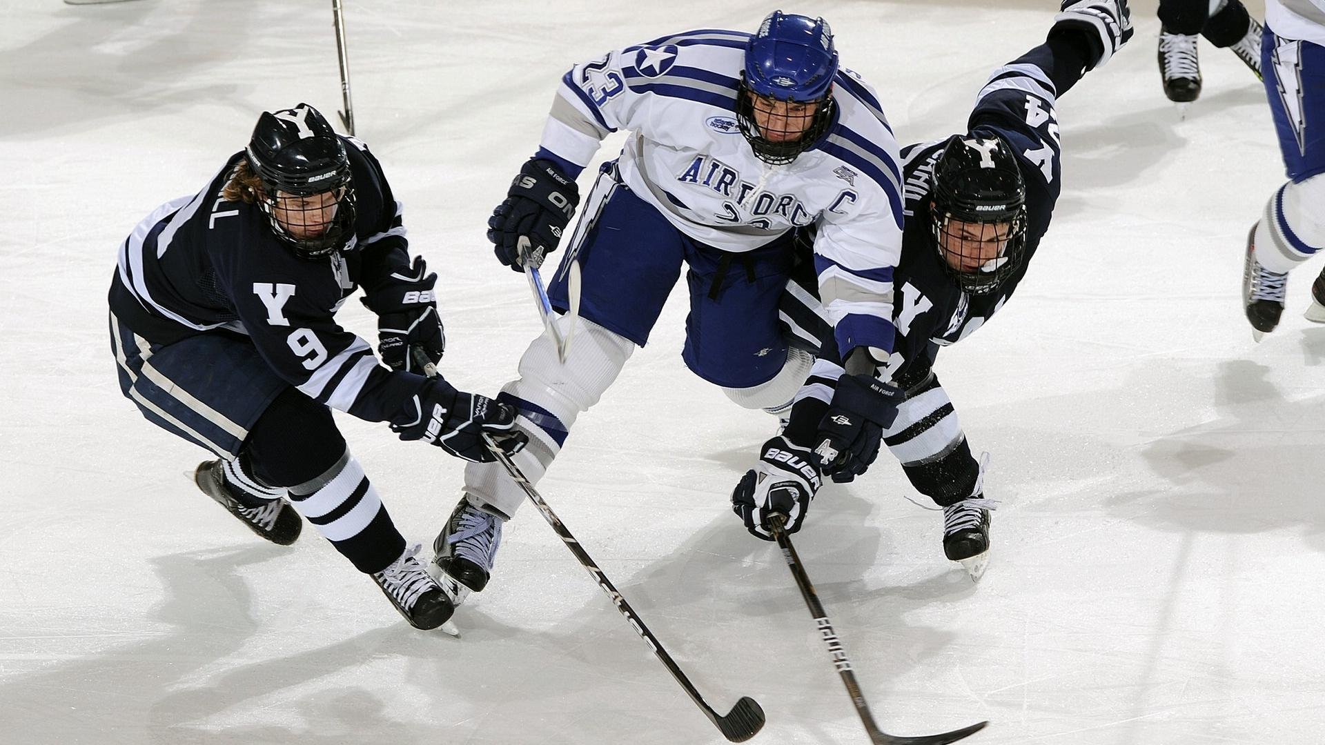 全球绿色运动场建设热潮，碳中和成行业新标准，中国绿色运动